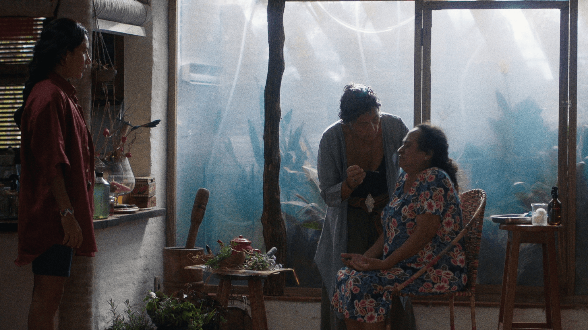 8º Festival de Cinema da Amazônia - Olhar do Norte
